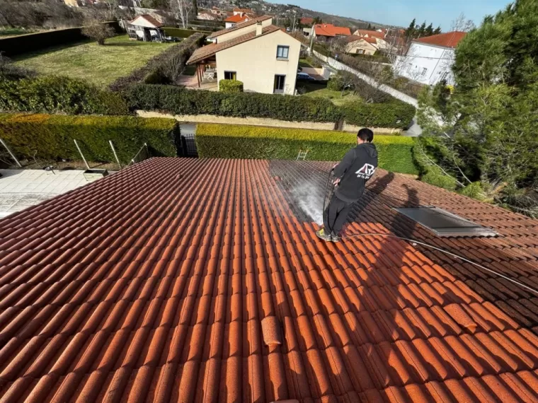 Entretien de toiture incolore à Cournon.