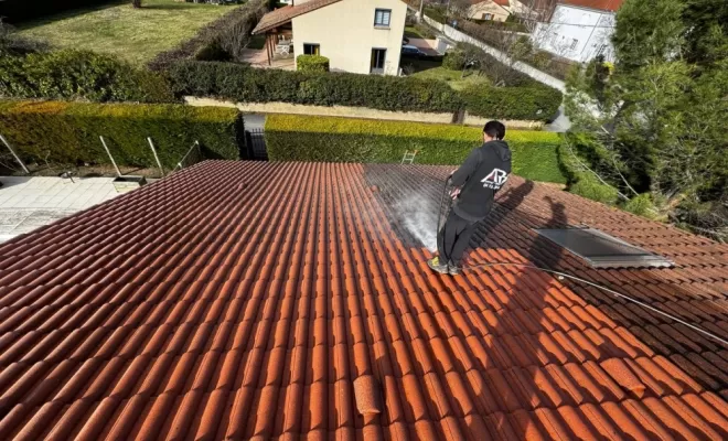 Entretien de toiture incolore à Cournon.